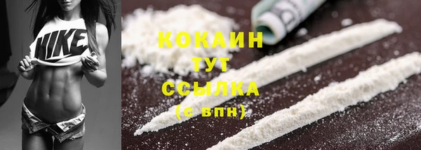 прущие крисы Верея