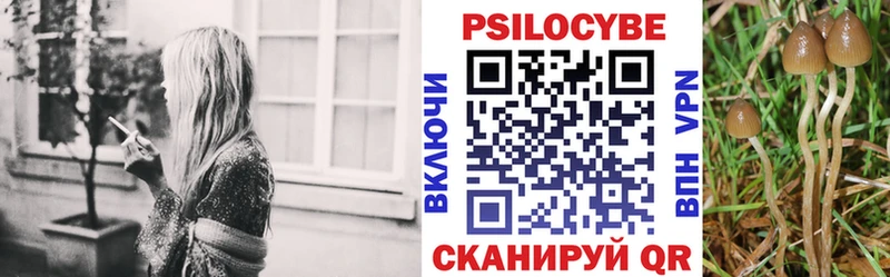 Псилоцибиновые грибы мухоморы Курск